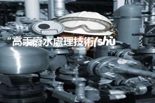 “高汞廢水處理技術(shù)，綠色環(huán)保新篇章”